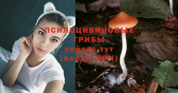 амф Алексин
