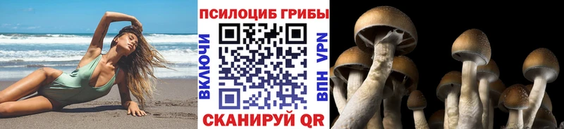 сайты даркнета Telegram  Новочеркасск  Галлюциногенные грибы мухоморы 